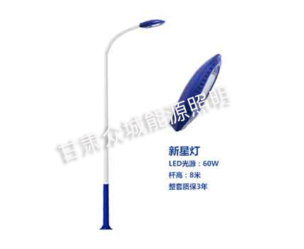 洛隆爆款市电路灯